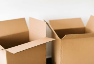 pexels-photo-4498122-1920w_1050x650_q90 pexels-photo-4498122-1920w_1050x650_q90