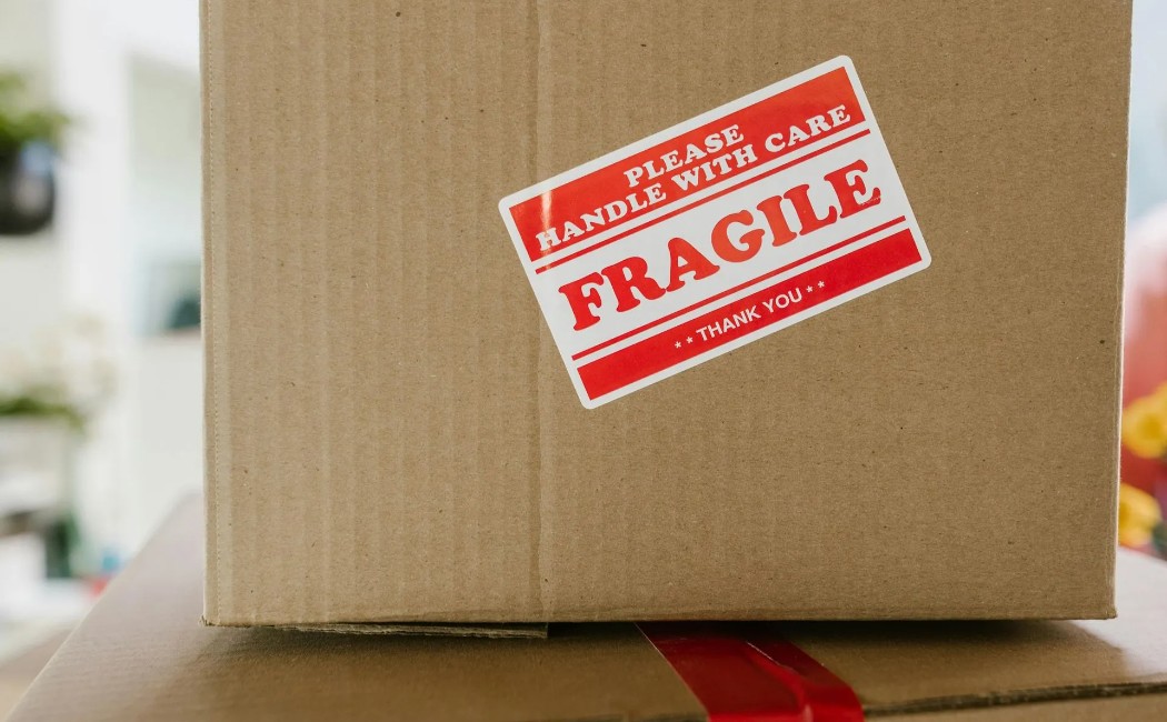 pexels-photo-7464716-1920w_1050x650_q90